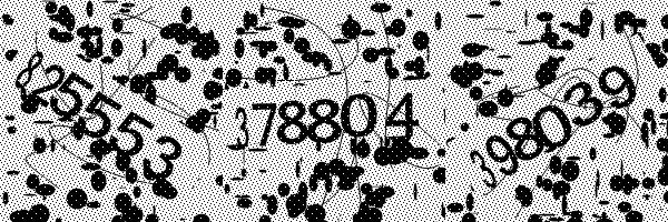 Please enable image downloads in your browser.
