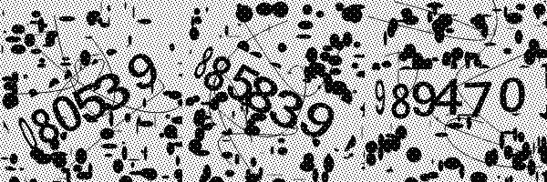 Please enable image downloads in your browser.