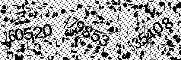 Please enable image downloads in your browser.